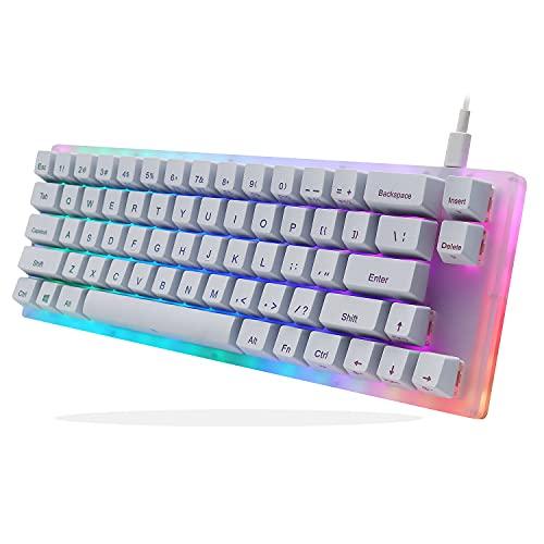 Womier K66 60% Mechanical Keyboard, Hot Swappable Tyce-C Wired RGB Backlit Gateron Switch 60% Mechanical Keyboard for PC PS4 Xbox (Blue Switch,White)