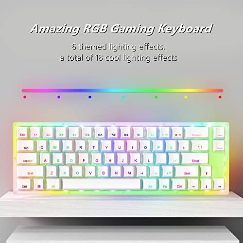 Womier K66 60% Mechanical Keyboard, Hot Swappable Tyce-C Wired RGB Backlit Gateron Switch 60% Mechanical Keyboard for PC PS4 Xbox (Blue Switch,White)