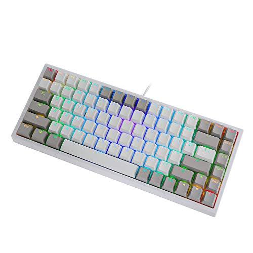 EPOMAKER EP84 Teclado mecánico para juegos con cable, 84 teclas RGB, con tapas de colorante PBT para Mac/Win/Gamers (interruptor marrón Gateron, gris blanco)