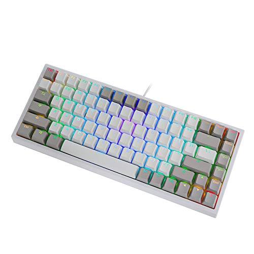 EPOMAKER EP84 84-tangenter RGB Hotswap Wired Mechanical Gaming Keyboard med PBT Dye-subbed Keycaps för Mac/Win/Gamers (Gateron Brown Switch, Grey White)