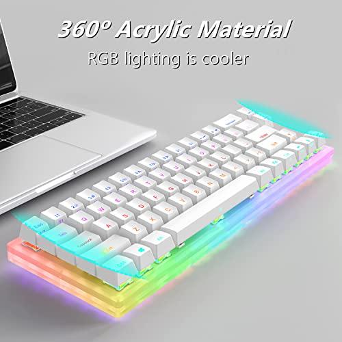 Womier K66 60% Mechanische Tastatur, Hot Swappable Tyce-C Wired RGB Backlit Gateron Switch 60% Mechanische Tastatur für PC PS4 Xbox (Blue Switch,White)