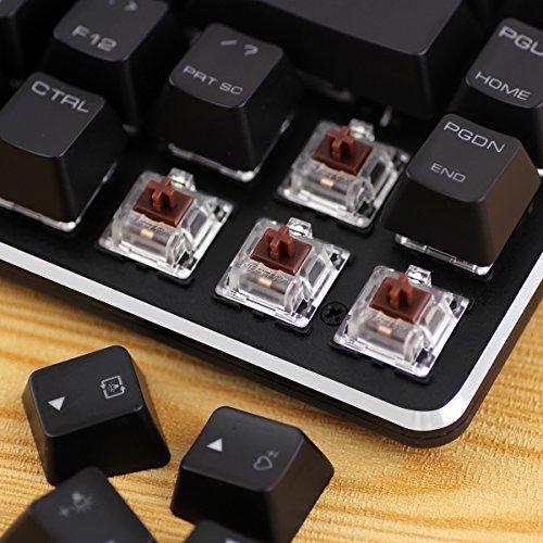 Teclado mecánico para juegos GATERON Interruptor marrón Teclado mecánico con cable de 49 Kyes(40%) con retroiluminación azul hielo para juegos de oficina Magicforce by Qisan