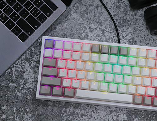 EPOMAKER EP84 Teclado mecánico para juegos con cable, 84 teclas RGB, con tapas de colorante PBT para Mac/Win/Gamers (interruptor marrón Gateron, gris blanco)