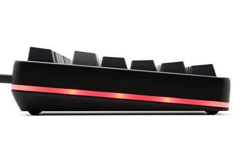 Drop CTRL High-Profile Mechanische Tastatur - Tenkeyless TKL (87 Tasten) Gaming Tastatur, Hot-Swap Schalter, Programmierbar, Hintergrundbeleuchtung RGB LED, USB-C, Doubleshot PBT, Aluminium (Schwarz, Halo Clear)