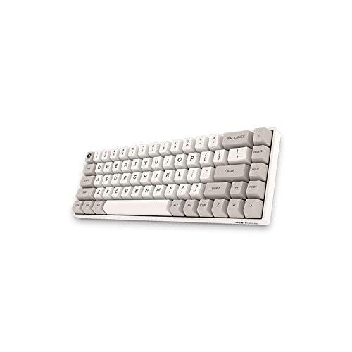 EPOMAKER AKKO 3068 9009 Tastiera meccanica retrò a 68 tasti senza tasti con interruttore Cherry MX, N-Key Rollover, copritasti in PBT, porta di tipo C per giocatori (interruttore Cherry Brown, 3068-9009)