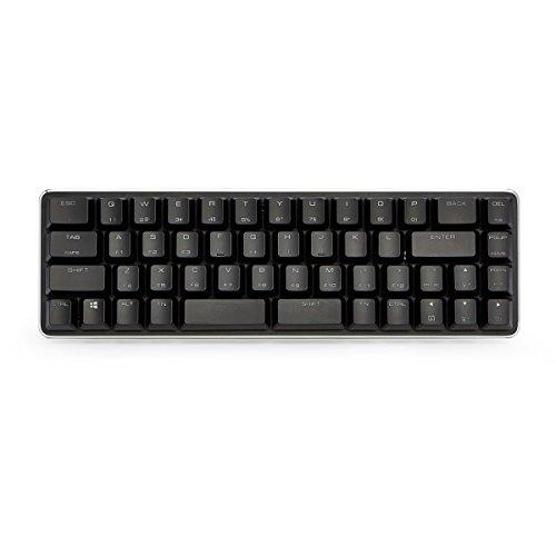 Mechanische Tastatur Gaming Tastatur GATERON Blue Switch Wired Mechanical Mini 49 Kyes(40%) Keyboard with Ice Blue Backlit for Gaming Office Magicforce by Qisan