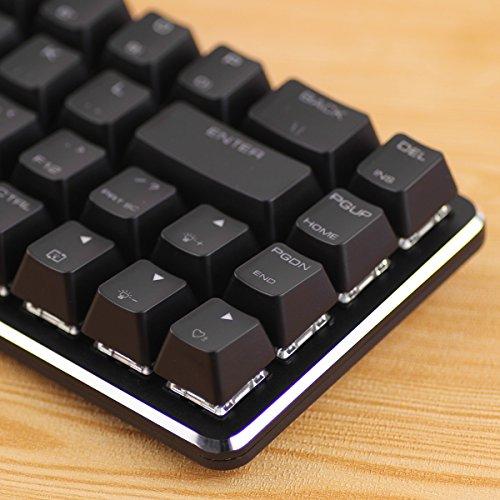 Mechanische Tastatur Gaming Tastatur GATERON Blue Switch Wired Mechanical Mini 49 Kyes(40%) Keyboard with Ice Blue Backlit for Gaming Office Magicforce by Qisan