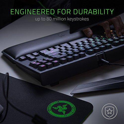 Teclado mecánico para juegos sin teclas Razer BlackWidow TE Chroma v2 TKL: Interruptores de teclas verdes, táctiles y clics, iluminación RGB Chroma, reposamuñecas magnético, macros programables, negro clásico