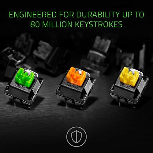 Tastiera meccanica da gioco Razer BlackWidow Elite: Interruttori meccanici verdi - tattili e cliccabili - illuminazione Chroma RGB - poggiapolsi magnetico - tasti multimediali e quadrante dedicati - USB Passthrough