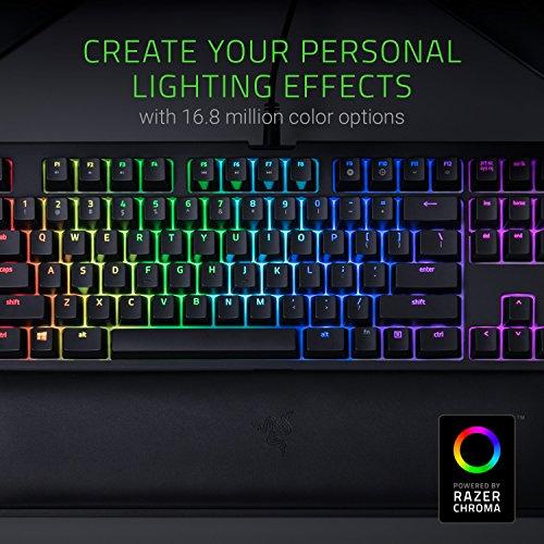 Razer BlackWidow TE Chroma v2 TKL Beznarzędziowa mechaniczna klawiatura do gier: Przełączniki Green Key Switches, Tactile & Clicky, oświetlenie Chroma RGB, magnetyczna podpórka pod nadgarstki, programowalne makra, klasyczna czerń