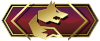 CSGO Danger Zone Rang: Hunter Fox 1