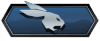 CSGO Danger Zone Rang: Sprinting Hare 1