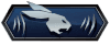 CSGO Danger Zone Rang: Sprinting Hare 2