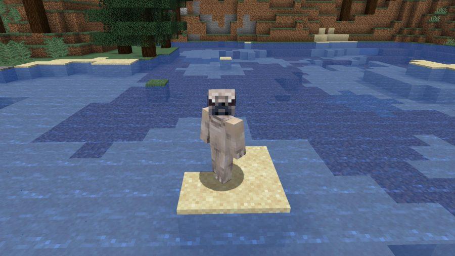 Minecraft skiny pug