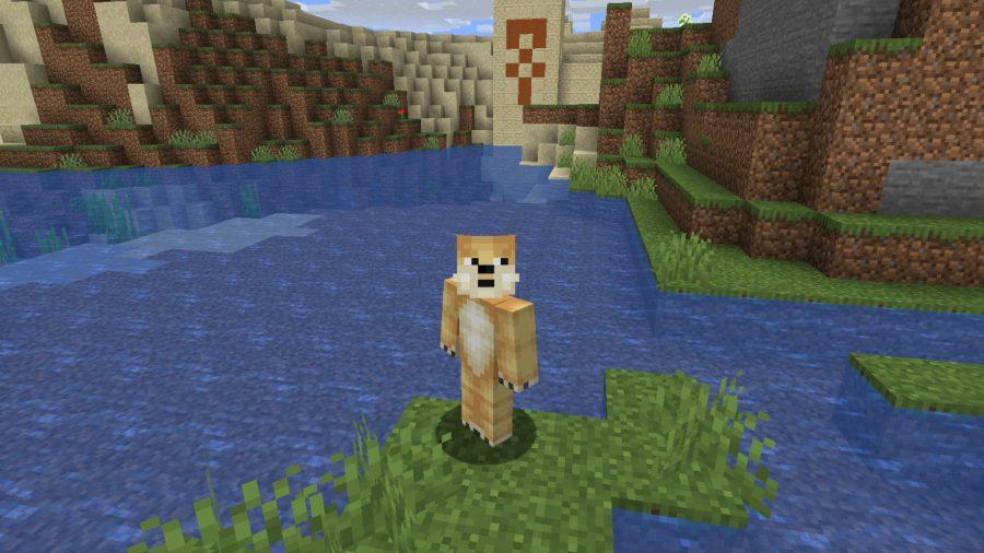 Minecraft skiny Doge