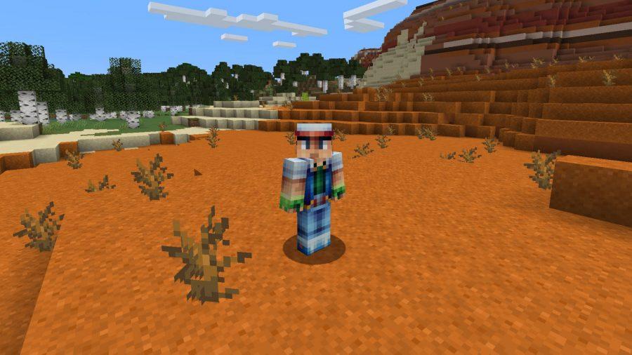 Minecraft Skins Ash Ketchum