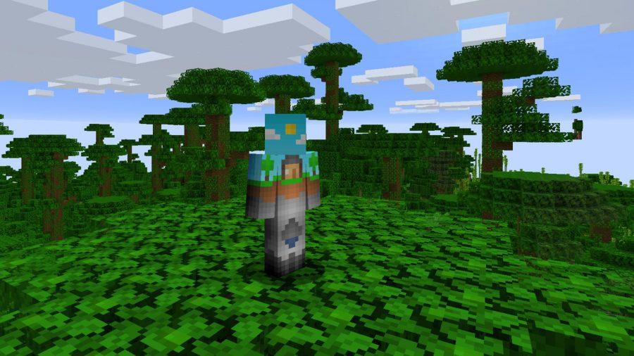 Minecraft Skins über Welt
