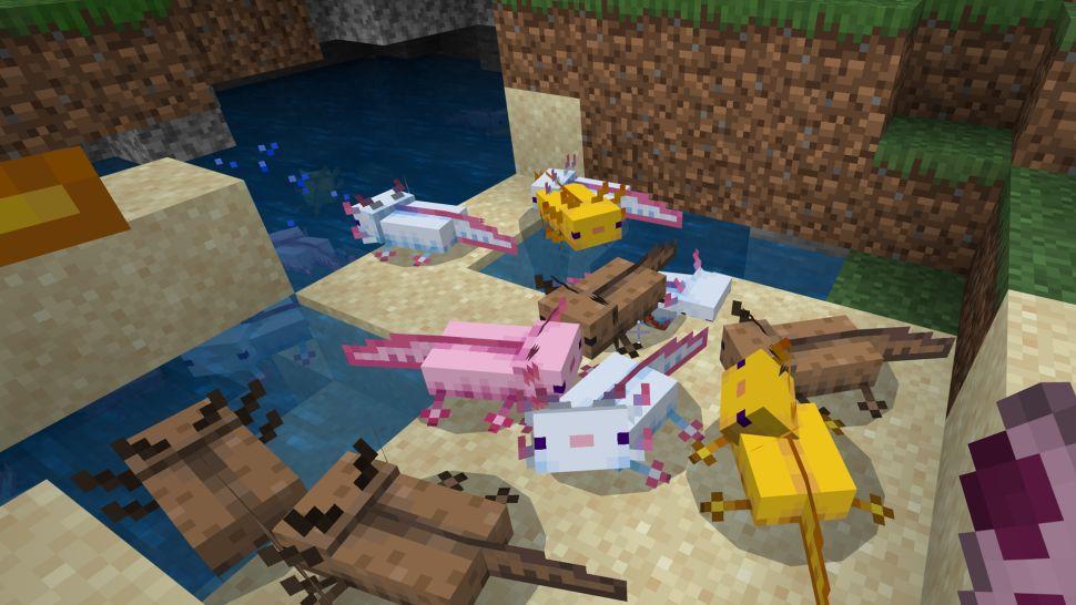Axolotl Minecraft Comment apprivoiser les Axolotls dans Minecraft