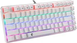 HUO JI 60% Mechanical Gaming Keyboard, E-Yooso Z-88 mit blauen Schaltern, Rainbow LED Hintergrundbeleuchtung, kompakte 81 Tasten, Silber und Weiß