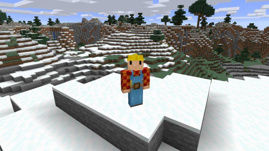 Minecraft Skins Bob der Baumeister