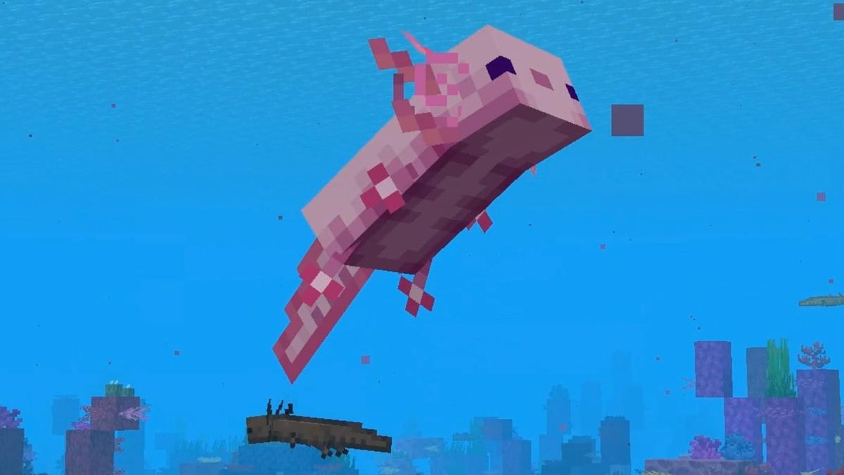 Minecraft Axolotl: Wie zähmt man Axolotl in Minecraft?